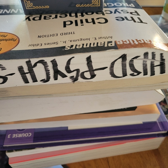 The Child Psychotherapy Progress Notes Planner Third Edition Textbook - Picture 6 of 6